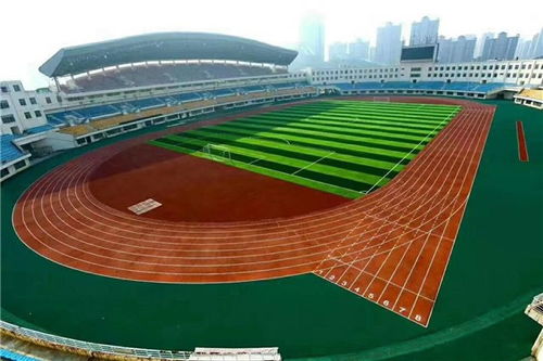 隆化籃球場(chǎng)塑膠跑道公司價(jià)格